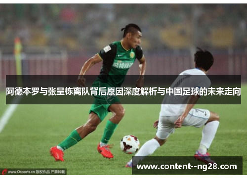 阿德本罗与张呈栋离队背后原因深度解析与中国足球的未来走向