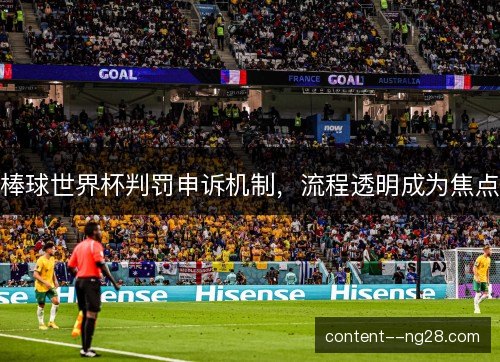 棒球世界杯判罚申诉机制，流程透明成为焦点